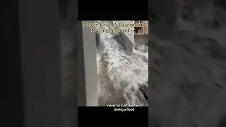 Never Be In A Basement During A Flood ☠️ #danger ous er