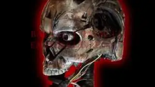 TERMINATOR ENDOSKELETON ENDOSKULL MOVIE PROP -