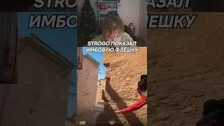 twitch: StRoGo ПОКАЗАЛ ИМБОВУЮ ФЛЕШКУ🤯 