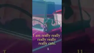 CUTE 15 seconds long