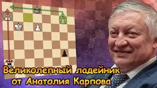 Анатолий Карпов - Сергей Карякин | Кубок Регион 2021