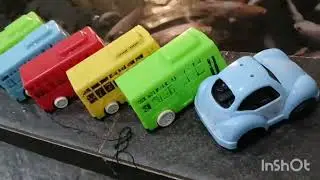 Tayo The Little Bus Memberi Makan Ikan