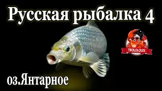 Русская рыбалка 4 оз Янтарное Карп чешуйчатый