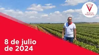 8 de julio de 2024