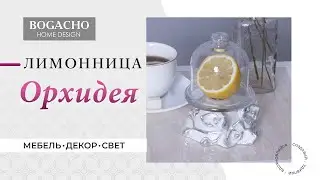 BOGACHO. Лимонница Орхидея Лайм