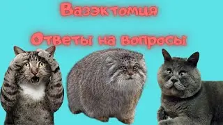 Вазэктомия / Как это было / Ответы на вопросы / Еду в путешествие