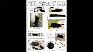 All About Me [JINX THE CAT EDITION]