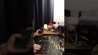 О чем молчит