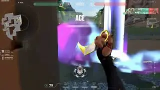 What a PREMIER BETA CHAMPION looks like