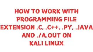 HOW TO WORK WITH PROGRAMMING FILE EXTENSION FOR C, C++, JAVA AND PYTHON, USE ./A.OUT ON KALI LINUX