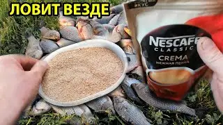 Прикормка которая ловит зимой карася леща и плотву,Прикормка для холодной воды