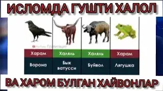 ИСЛОМДА ГУШТИ ХАЛОЛ ВА ХАРОМ БУЛГАН ХАЙВОНЛАР