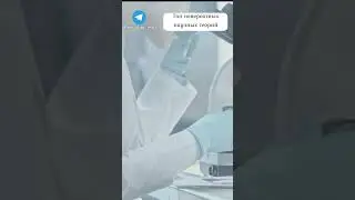 Топ невероятных научных теорий 