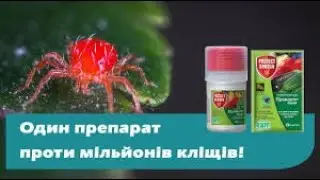 Прованто Майт – захист плодових і овочевих культур від кліщів