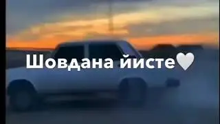 Чеченская песня 😻)хазчу суьренца вог1у сих Велла😻