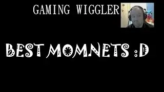 Best Moments From My Channel - Compilation #1 [GamingWiggler]