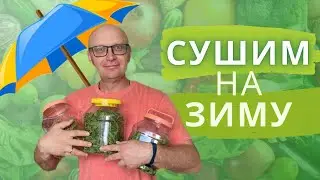 Летняя Сушка Овощей 2023 - экономим время, деньги и едим только натуральное