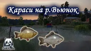 Караси на р. Вьюнок. Русская Рыбалка.