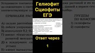 Гелиофиты | Сциофиты | ЕГЭ | биология