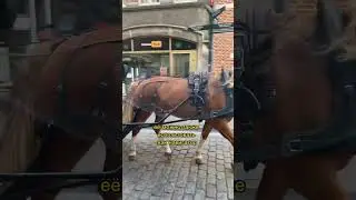 ЛУЧШЕЕ ПРИЛОЖЕНИЕ ДЛЯ ПУТЕШЕСТВИЙ 