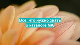 1.800 ББ в каталоге №6 - легко!!!