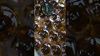 Технологические пузырьки 🌀 #омгту #омскийполитех