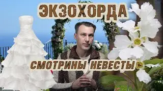 Экзохорда – растение для северо-запада, струноплодник, новинки 