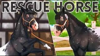 The Unwanted Horse: A Rescue Story | Star Stable Online Movie