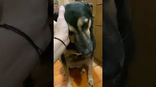 Люся из Тик Тока