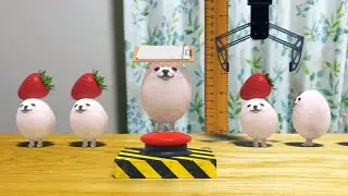 eggdog height in real life