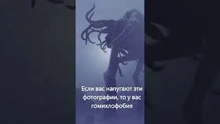 Если вас напугают эти фотографии, то у вас гомихлофобия - страх тумана 