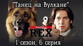 Комиссар Рекс, 1 сезон, 6 серия (