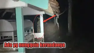 extreme,Tantanganku di keranda,sendirian 
