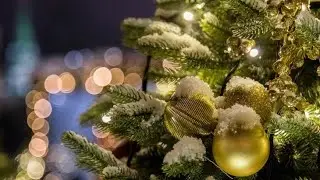 Старый Новый Год / Ответы на вопросы подписчиков