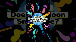 What Does the Moon Smell Like? 