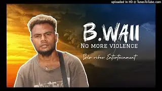 B.WAII- (NO MORE VIOLENCE) SOLO VIBES 2024