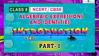 Algebraic Expressions & Identities | Introduction | NCERT | 