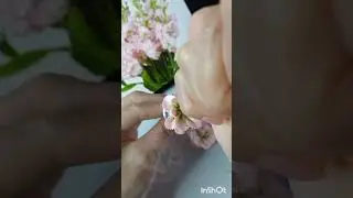 #букет