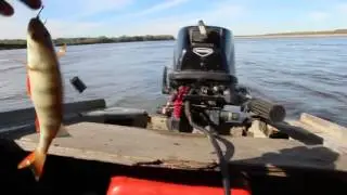 Язёвая рыбалка часть 1