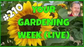 Your Gardening Questions Answered (Q&A)