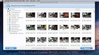 How to Find and View iTunes Backup Files