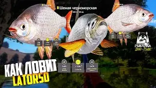Русская рыбалка 4.🎣 р. Северский Донец 🐟🐟🐟💦 КАК ЛОВИТ LATORSO 👀