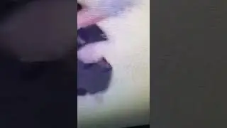 я не вернусь в антейку, я выступаю в аогири 