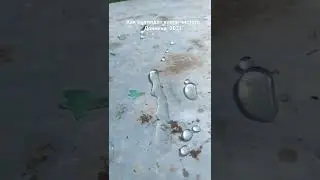 Как выглядит Донниковый Мёд. 2021.