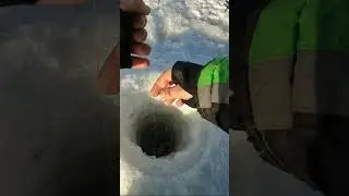 Чёта в ЛУНКУ не ЛЕЗЕТ #shorts