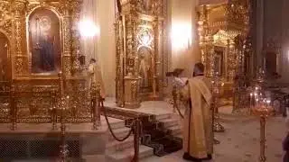 Протодиакон Дамиан Малыхин. Чтение Апостола.
