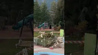 Encounter with playful bears: Nelson, BC