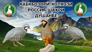 Кабкбозори Колхози Россия ш. Душанбе 30.10.2022