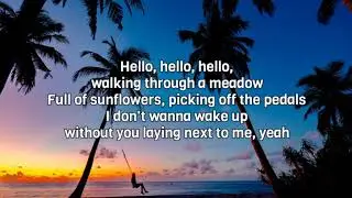 Dream - Shawn Mendes
