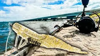 This is the Most Exciting Way to Fish for SNOOK! Pre Hurricane Fishing